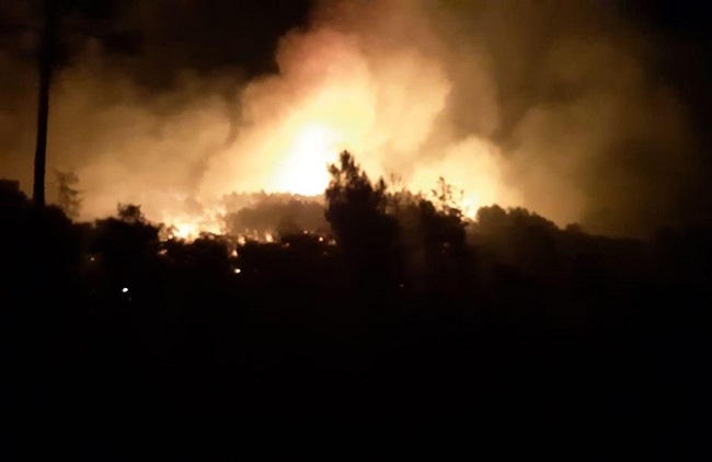 Estabilizado el incendio que asola el Paraje de las Pelas en Monesterio