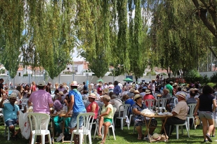 Fiestas de Monesterio