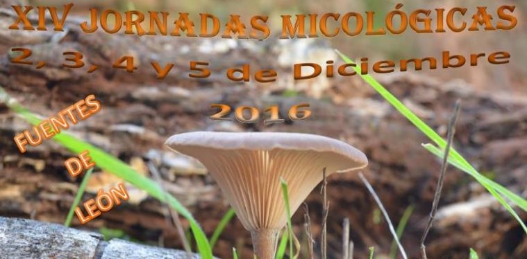 XIV Jornadas Micológicas en Fuentes de León