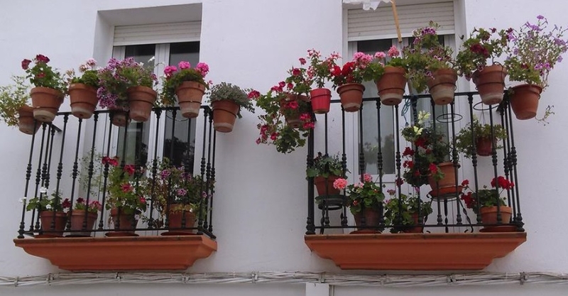 Amparo Hidalgo y Rosario Santana ganadoras del concurso de balcones y patios en Fuentes de León