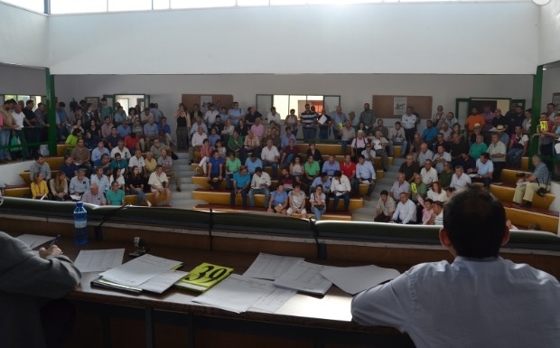 La Diputación de Badajoz cosecha un gran éxito en la subasta de ganado de la Feria de Zafra