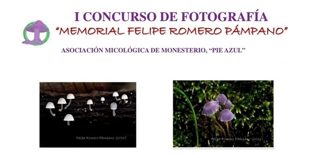 La Asociación Micológica de Monesterio organiza el I Concurso de Fotografía `Memorial Felipe Romero Pámpano