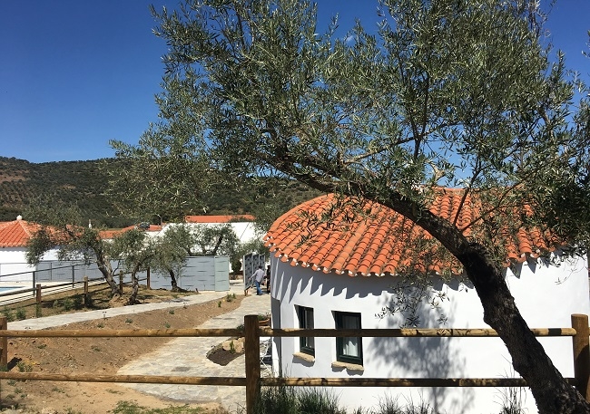 El Ayuntamiento de Montemolín amplía su oferta turística con la inauguración de tres bungalós