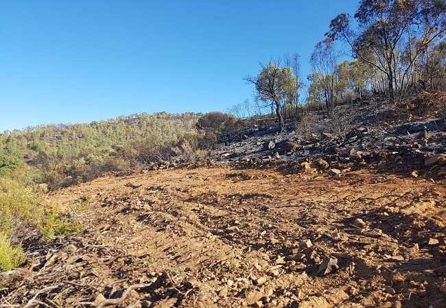 El Plan INFOEX da por controlado el incendio de Monesterio