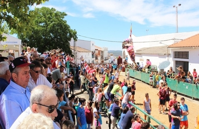 Fuentes de León celebra esta semana sus tradicionales Capeas 