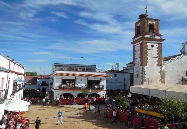 Mañana comienzan las Fiestas del Emigrante de Bodonal de la Sierra con Capeas el viernes y sábado