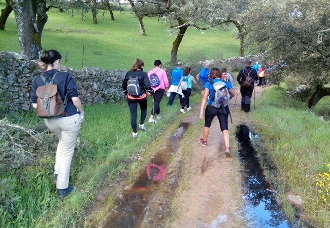 Infinidad de actividades deportivas y culturales protagonizarán el otoño en Monesterio (Programación completa)