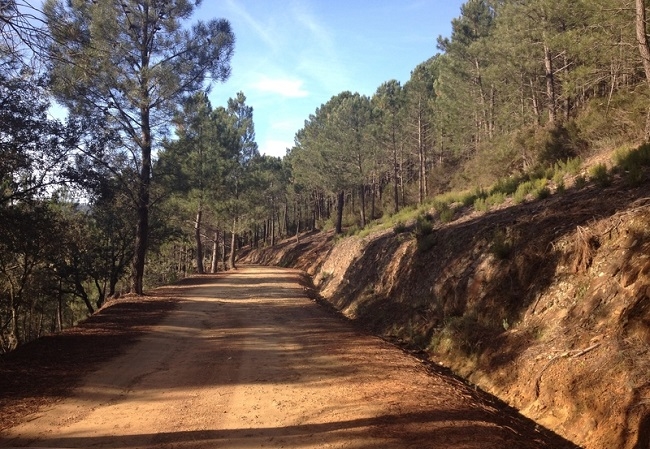 Fuentes de León y Monesterio se beneficiarán de los más de 2.500.000 de euros destinados a la mejora de caminos rurales
