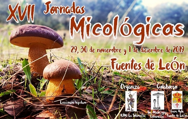 Programación completa de las XVII Jornadas Micológicas de Fuentes de León