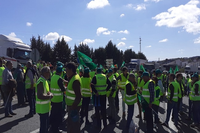 Unas 260 personas de toda la comarca se han concentrado en Fregenal de la Sierra en protesta por la situación del campo extremeño 