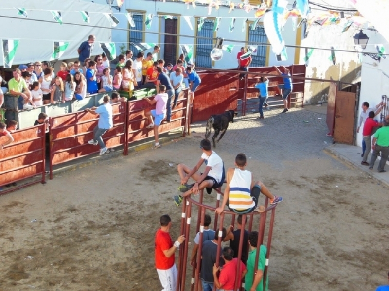 No habrá Capeas en Bodonal de la Sierra ni se abrirá la piscina municipal este verano