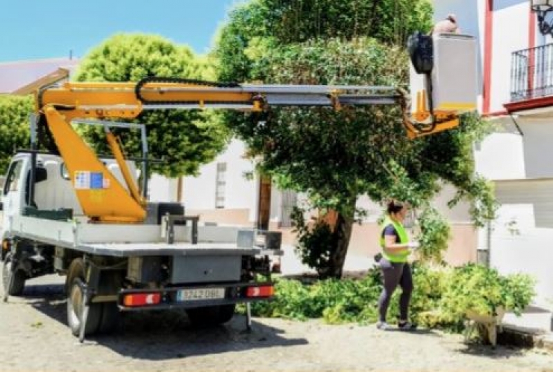 Monesterio refuerza la campaña de poda de árboles ornamentales para evitar alergias