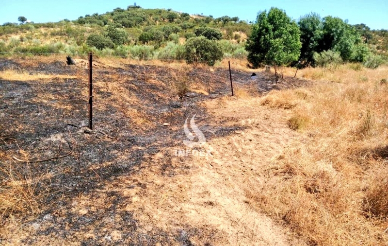 INFOEX registra ayer incidentes en Higuera la Real y Bienvenida