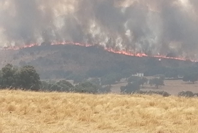 Estabilizados los incendios focalizados en la tarde de hoy entre el suroeste extremeño y la sierra onubense