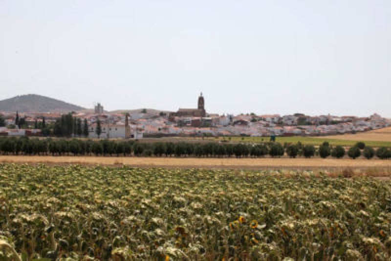 Nuevo positivo en Bienvenida, de un trabajador de la planta fotovoltaica que reside actualmente en el pueblo