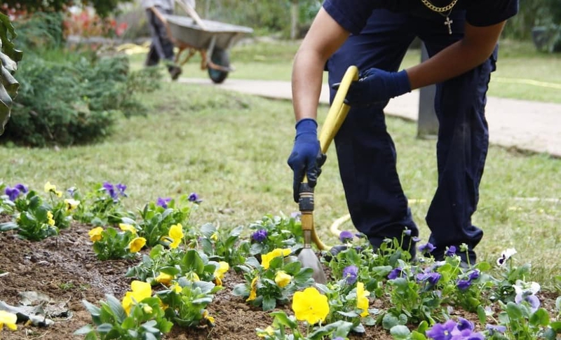 Monesterio acogerá la acción formativa `Jardinería adaptada al cambio climático: acolchado, xerojardinería e hidrozonas