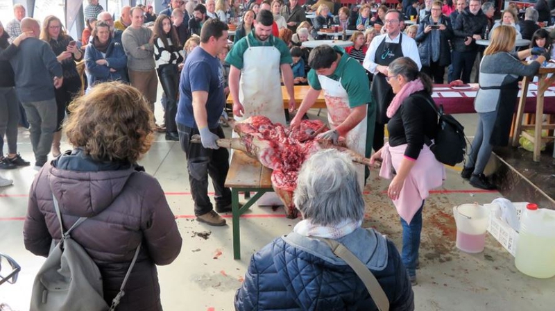 Gran ambiente y mejor sabor en la XXI Matanza Didáctica de Monesterio