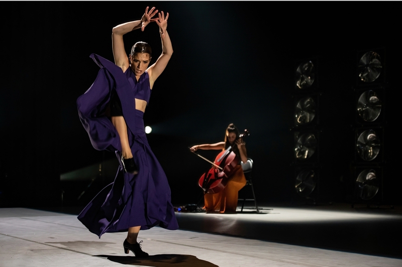 La bailaora Sara Jiménez protagonizará en Fuentes de León, con su último trabajo `Ave de Plata, la segunda residencia artística de Bailando en Plata