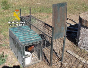 La Guardia Civil investiga a una persona por utilizar una  jaula trampa en una finca 