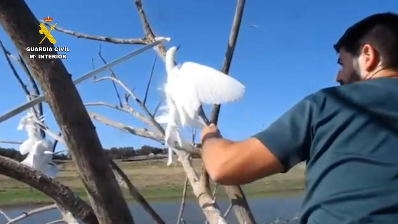 La Guardia Civil retira del pantano de Tentudía una trampa mortal para aves