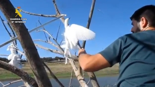 La Guardia Civil retira del pantano de Tentudía una trampa mortal para aves