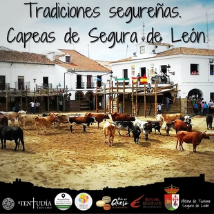 Comienza la `Semana Grande´ en Segura de León: CAPEAS 2023