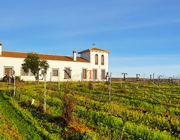 Bodega Pentateuco presente en la VII Muestra Gastrostar en el entorno del Monasterio de Tentudía