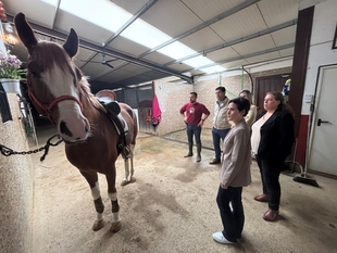 Raquel del Puerto cierra las jornadas de preparación del presupuesto en Segura de León visitando el centro hípico Amador Martín