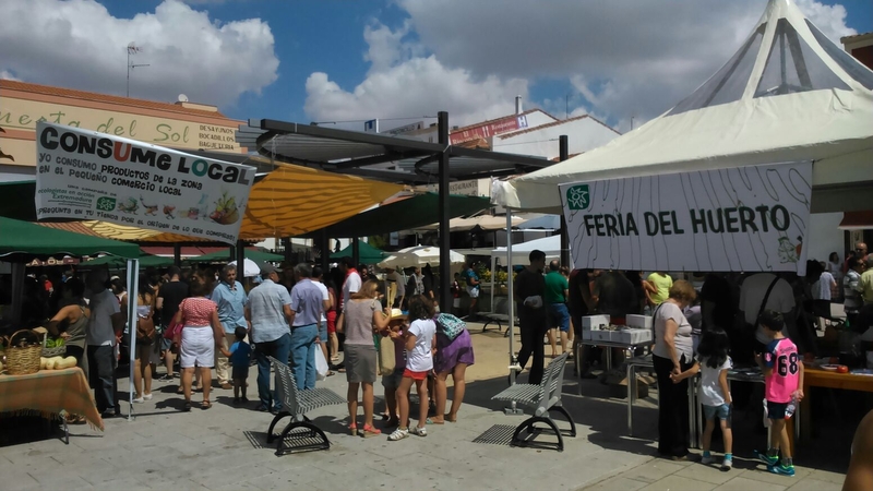 El calabacín trepador, la hortaliza más singular de la IV Feria del Huerto de Tentudía